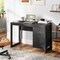 Stylish Modern Desk with Storage Cabinet and Drawer for Home or Office Workspace